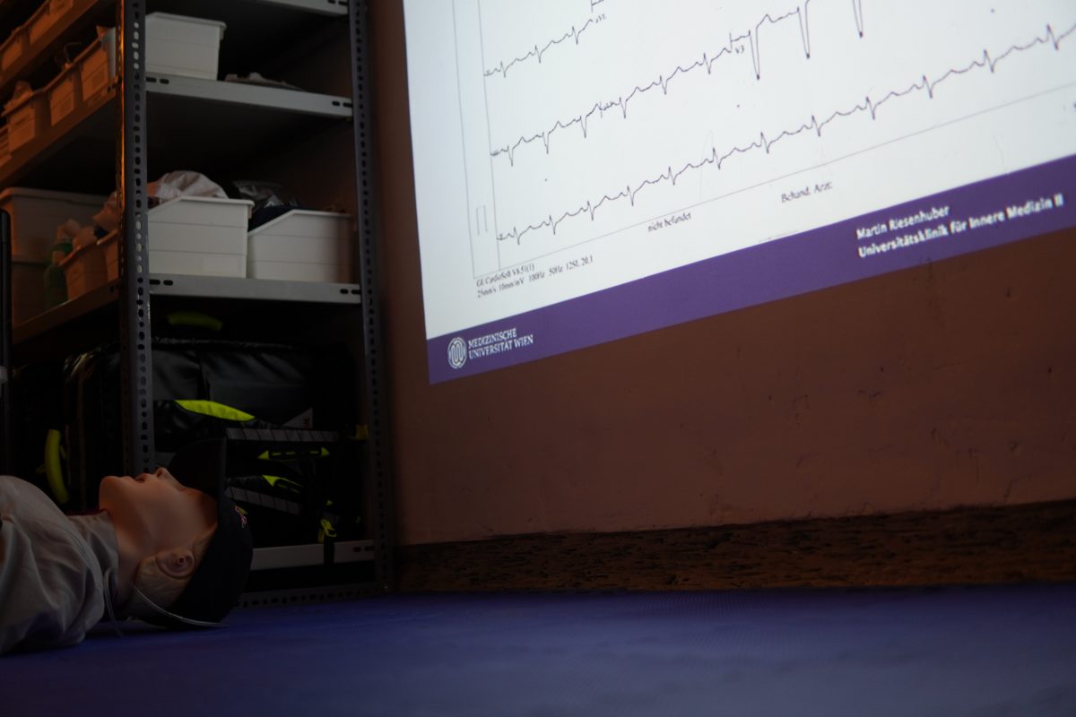 EKG Workshop
